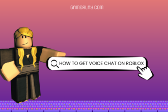 Voice Chat